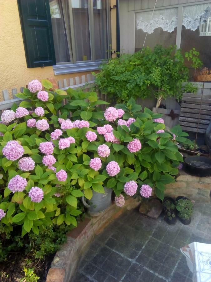Omas Schmuckkaestle Villa Lauingen Luaran gambar